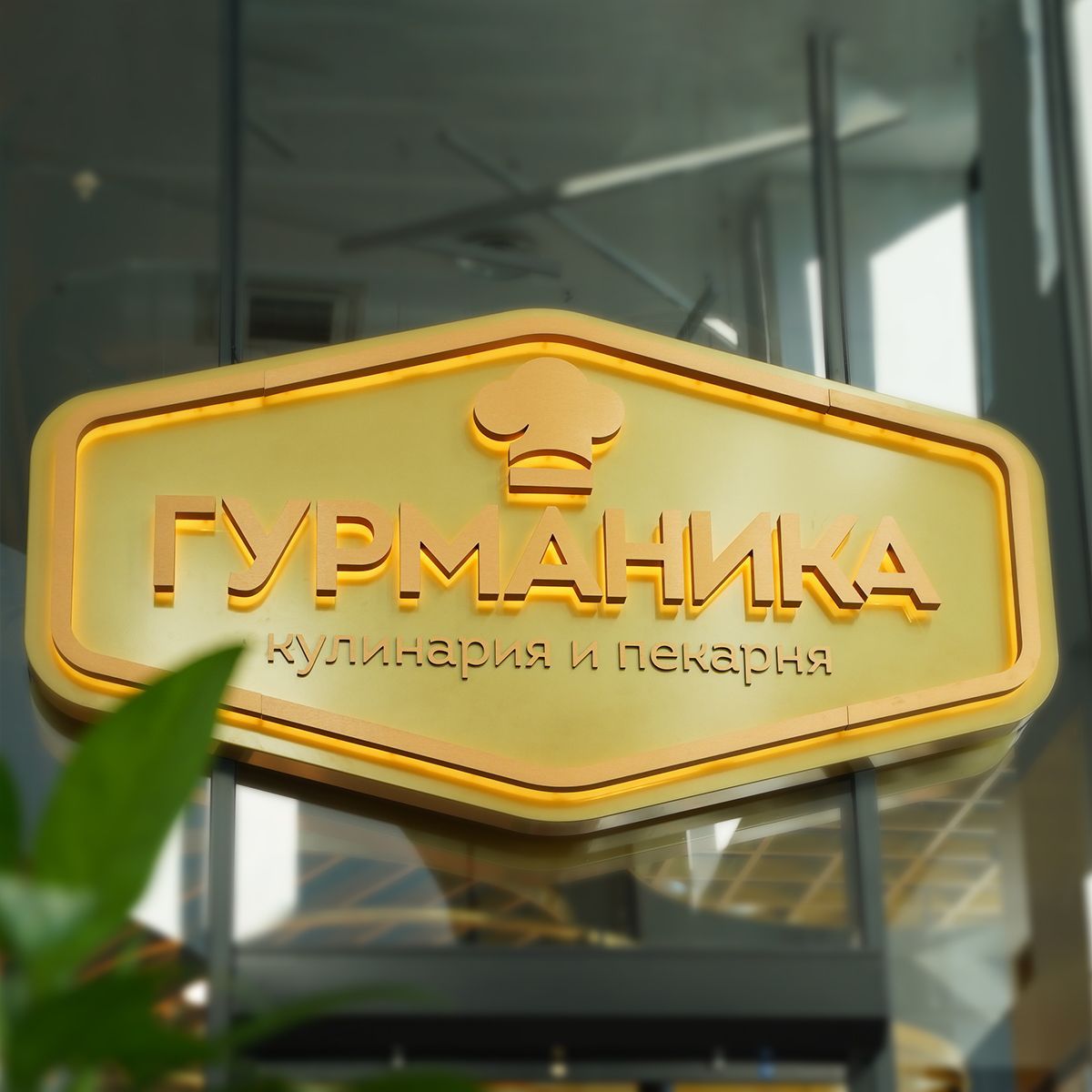 Новое кафе Гурманика на Бакунинской